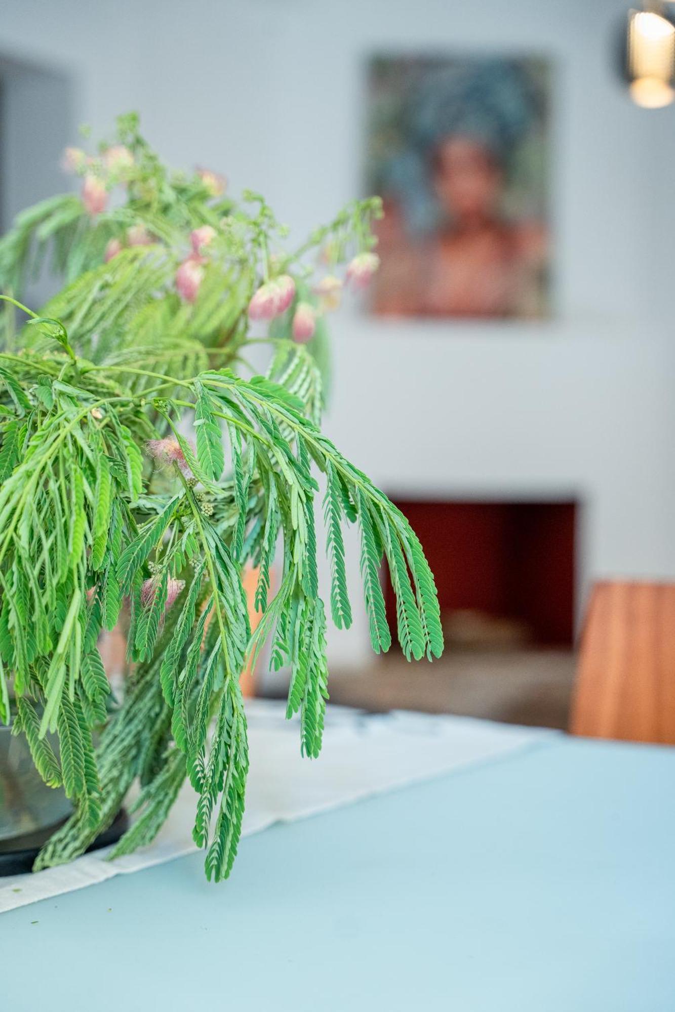 Otium Living Lägenhet Volos Exteriör bild